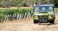 En Méhari dans les vignes Côte Chalonnaise