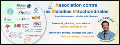 Rassemblement et baptêmes de voitures