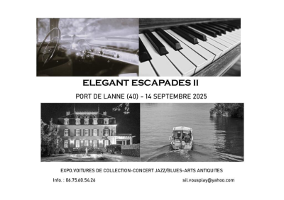 Elegant Escapades II