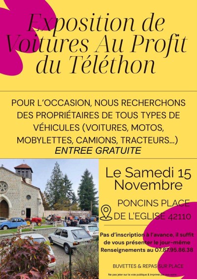 Exposition de Voitures au Profit du Téléthon