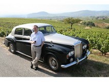DOMAINE BRISSON