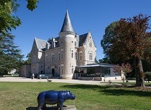CHATEAU DES REYNATS