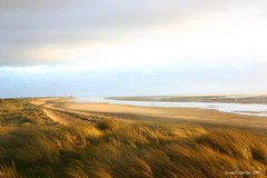 LA CÔTE DES HAVRES DU COTENTIN