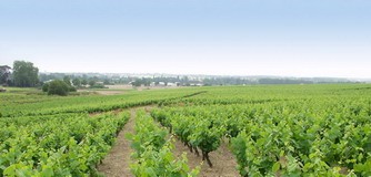 DOMAINE DE LA LANDELLE