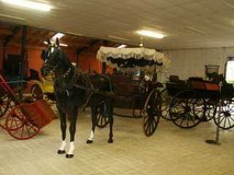 MUSÉE DE LA VOITURE A CHEVAL